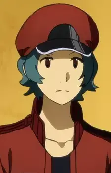 Sekkekkyuu
