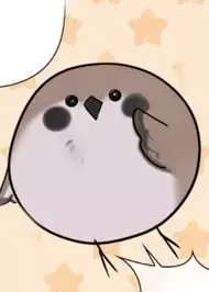 Majetto