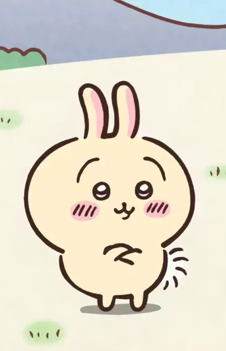 Usagi