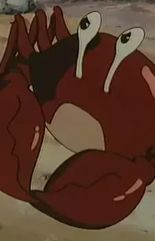 Runner Crab
