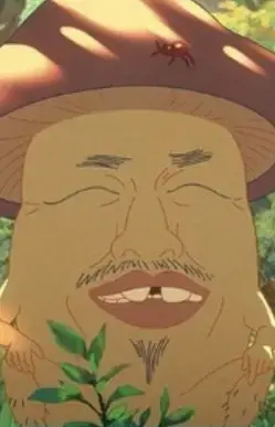 Old Man Mushroom