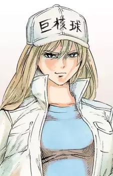 Kyokakukyuu