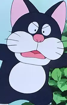 Stray Cat Kuro