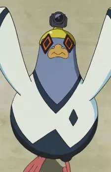Pigeon