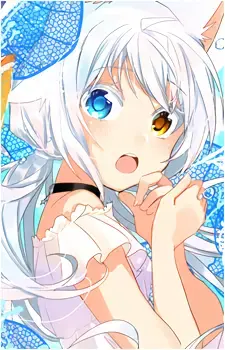 Yuki Shirakaba