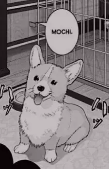 Mochi