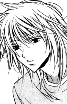 Shima