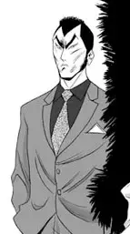 Aniki