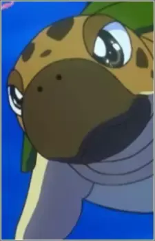 Turtle