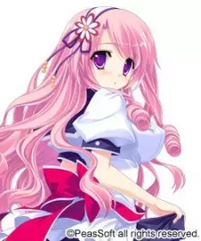 Haruka Usami