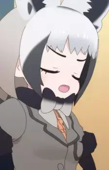 Bat-Eared Fox