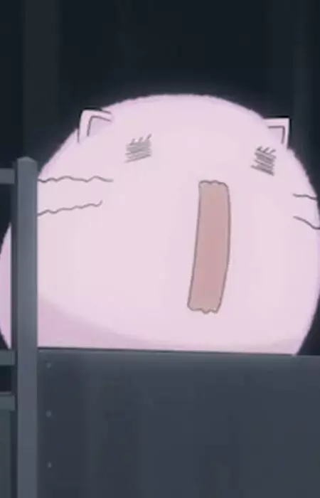 Momoneko