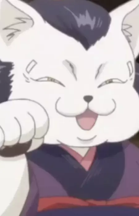 Cat Shop Owner