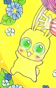 Pachi