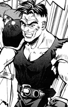 Houhitsu