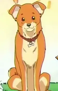 Mametarou