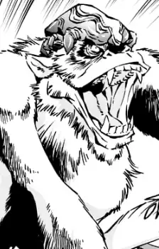 Ook