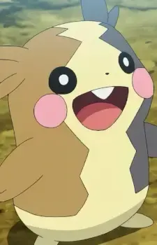 Morpeko