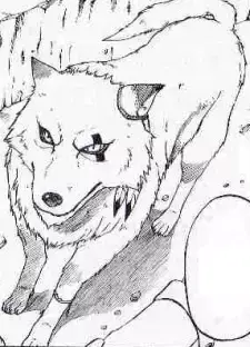 Zero