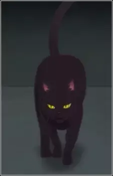 Nora Neko