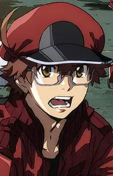 Sekkekkyuu AA2153