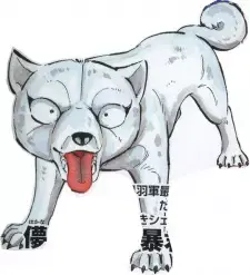 Bon