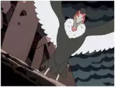 Condor-san