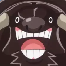 Moocy