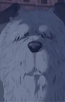 Old Dog
