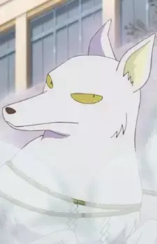 Kyuubi no Kitsune