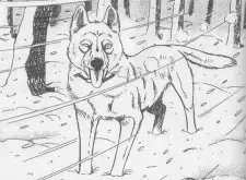 Fang