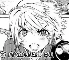 Raizou Katana