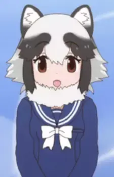Raccoon Dog
