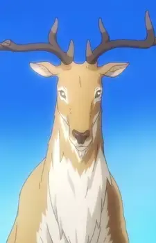 Oraha