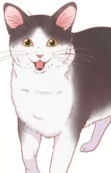 Tama