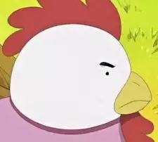 Torimi