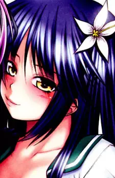 Ouka Sakagami