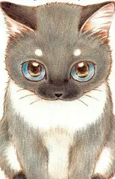 Koyuki