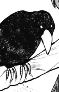 Karasu