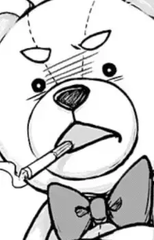 Mr. Bear