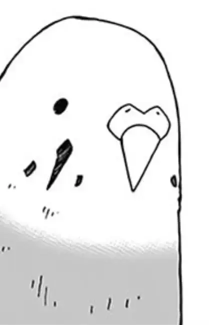 Pii