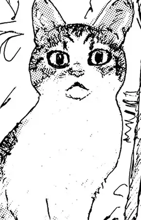 Kabocha