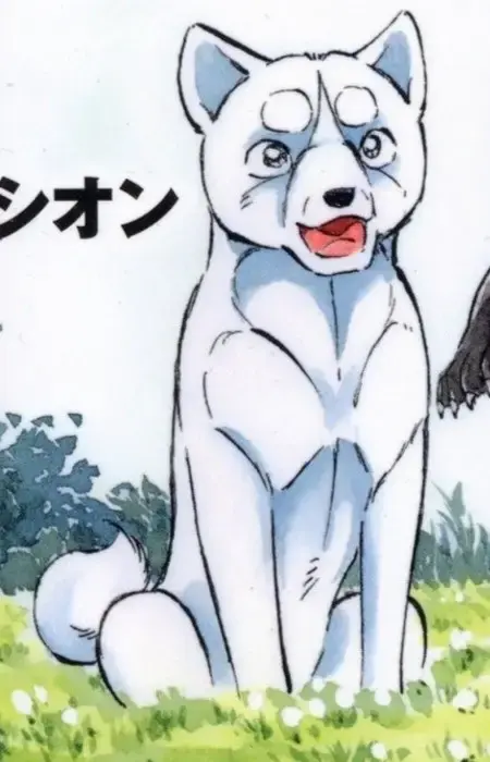 Shion