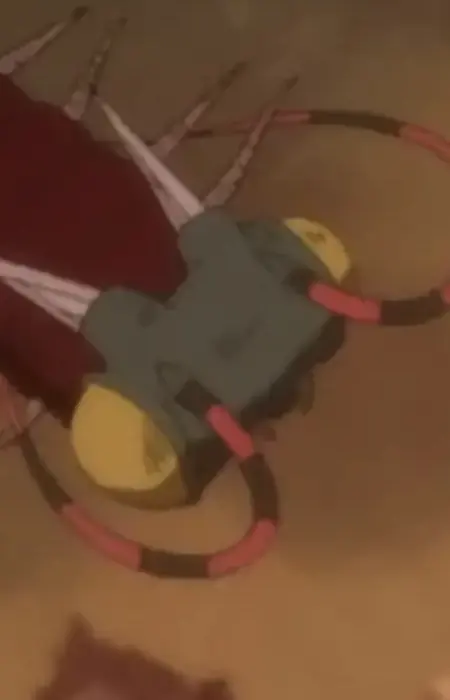 Ishikui