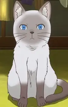 Kama