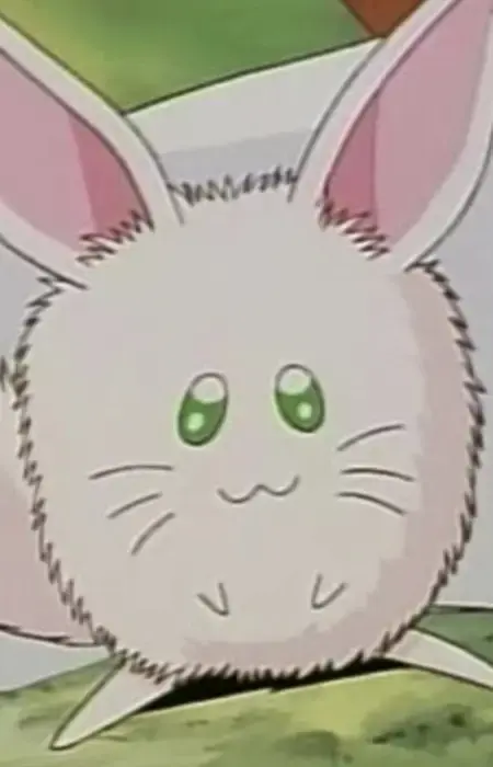 Rurupapa