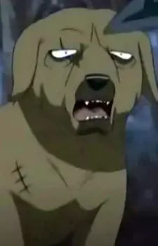 Ned